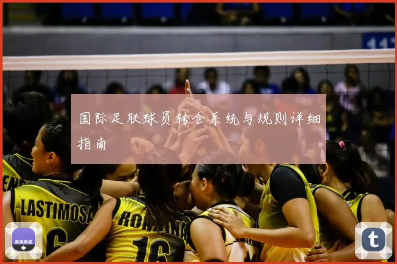 国际足联球员转会系统与规则详细指南