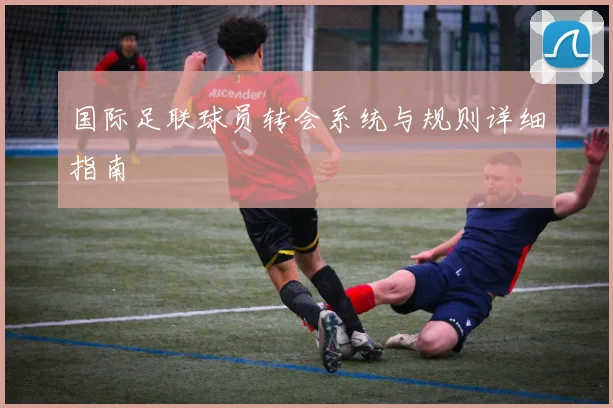 国际足联球员转会系统与规则详细指南